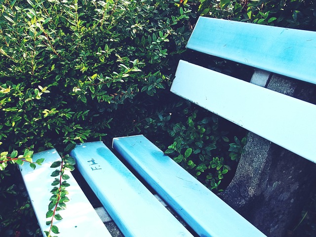 的精神成功 的精神成功