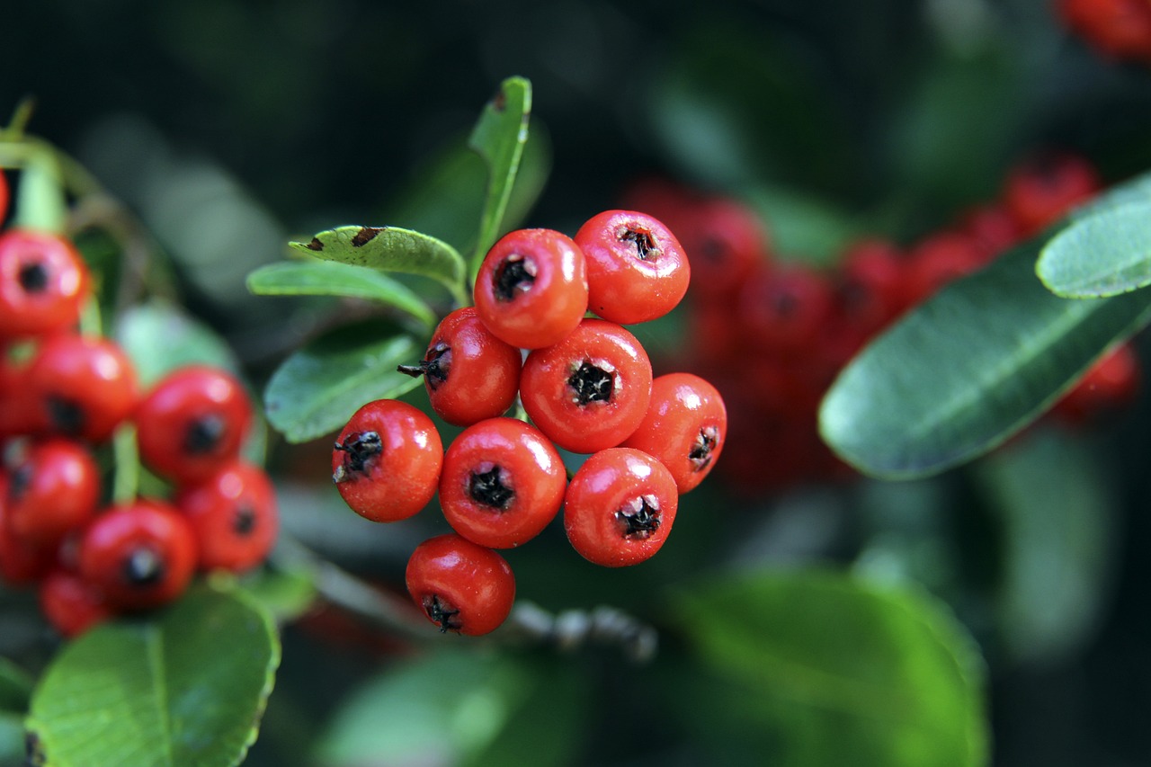 被对手抓住 被对手抓住