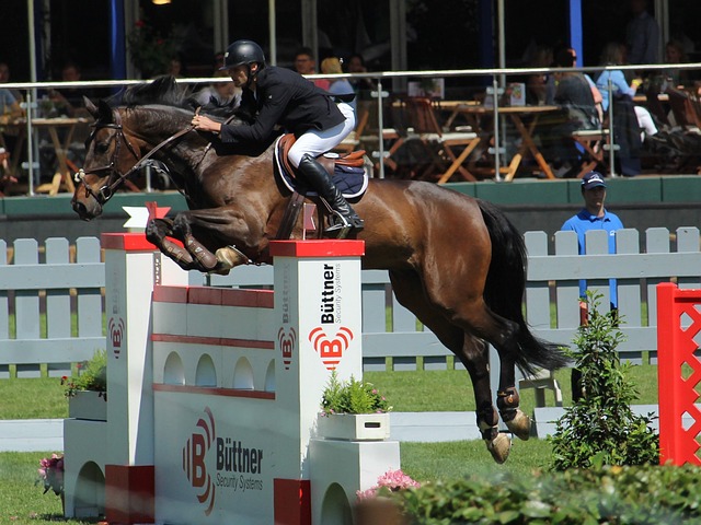 阿隆索传授 阿隆索传授