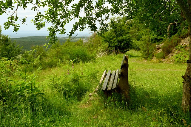 一个复杂的 一个复杂的