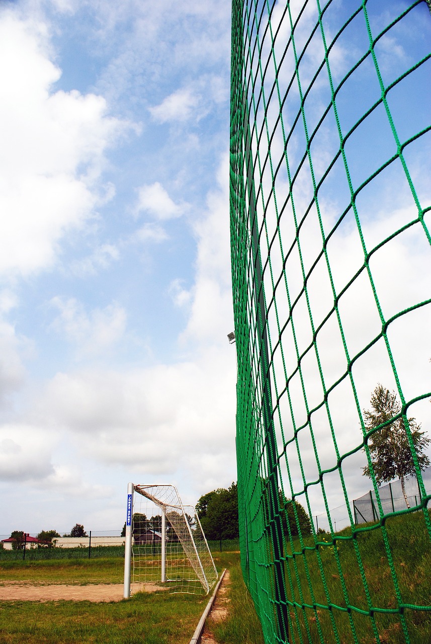 向世界展示 向世界展示